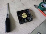 fanH221124.jpg