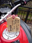 DSC_0273.jpeg