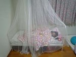 bedh250331.jpg