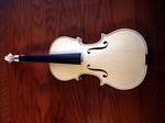 violinH260416.jpg