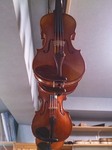 violinH260917.jpg