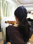 violinH280131.jpg